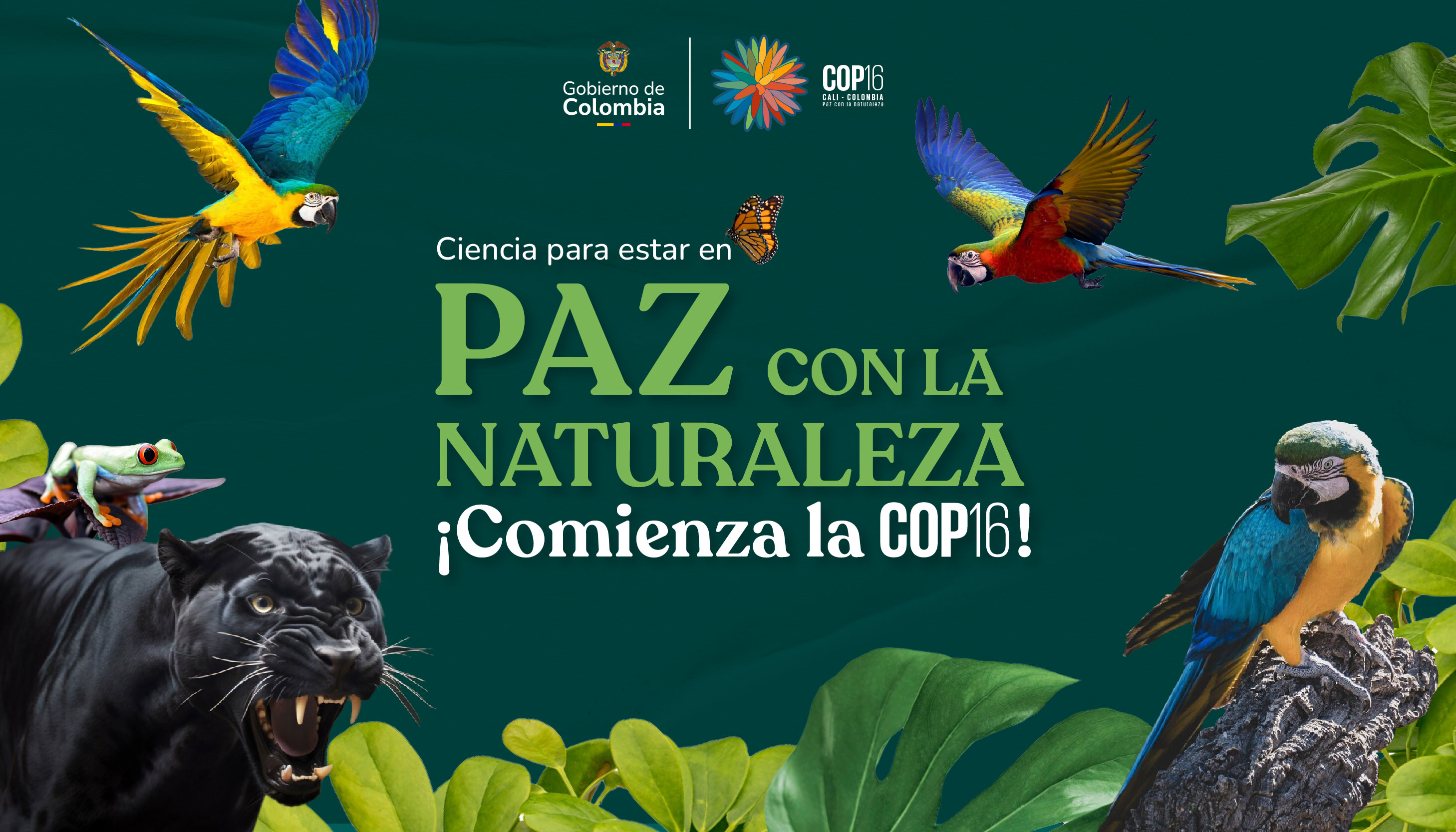 COP 16 COP 16