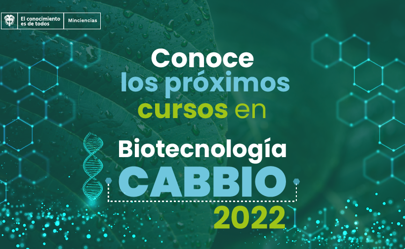 CABBIO otorgará becas para participar en los cursos, y en el caso de los cursos presenciales cubrirá los costos de alojamiento en la ciudad sede del curso.