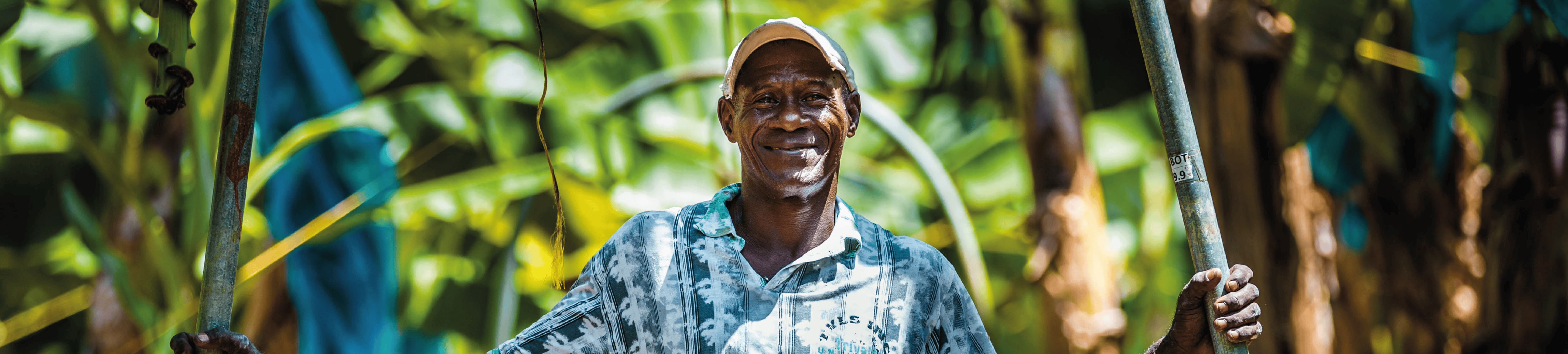 Banner encabezado sobre Minciencias