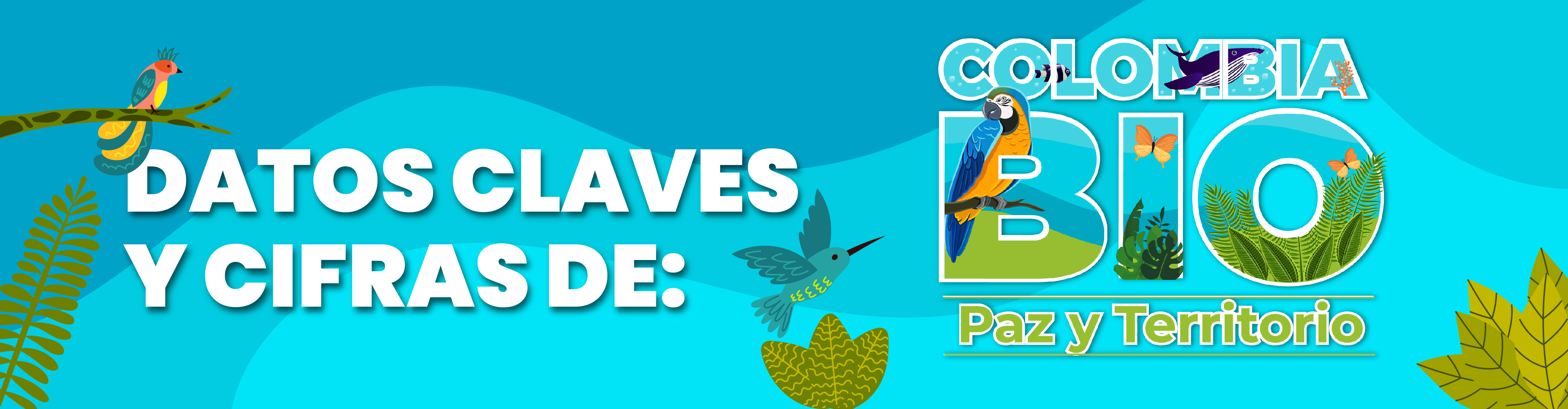 HEADER INFOGRAFIAS COLOMBIA BIO