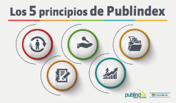 Los 5 principios de Publindex