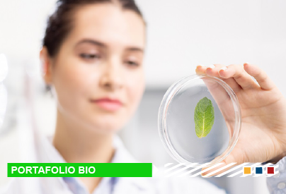 Portafolio Bio