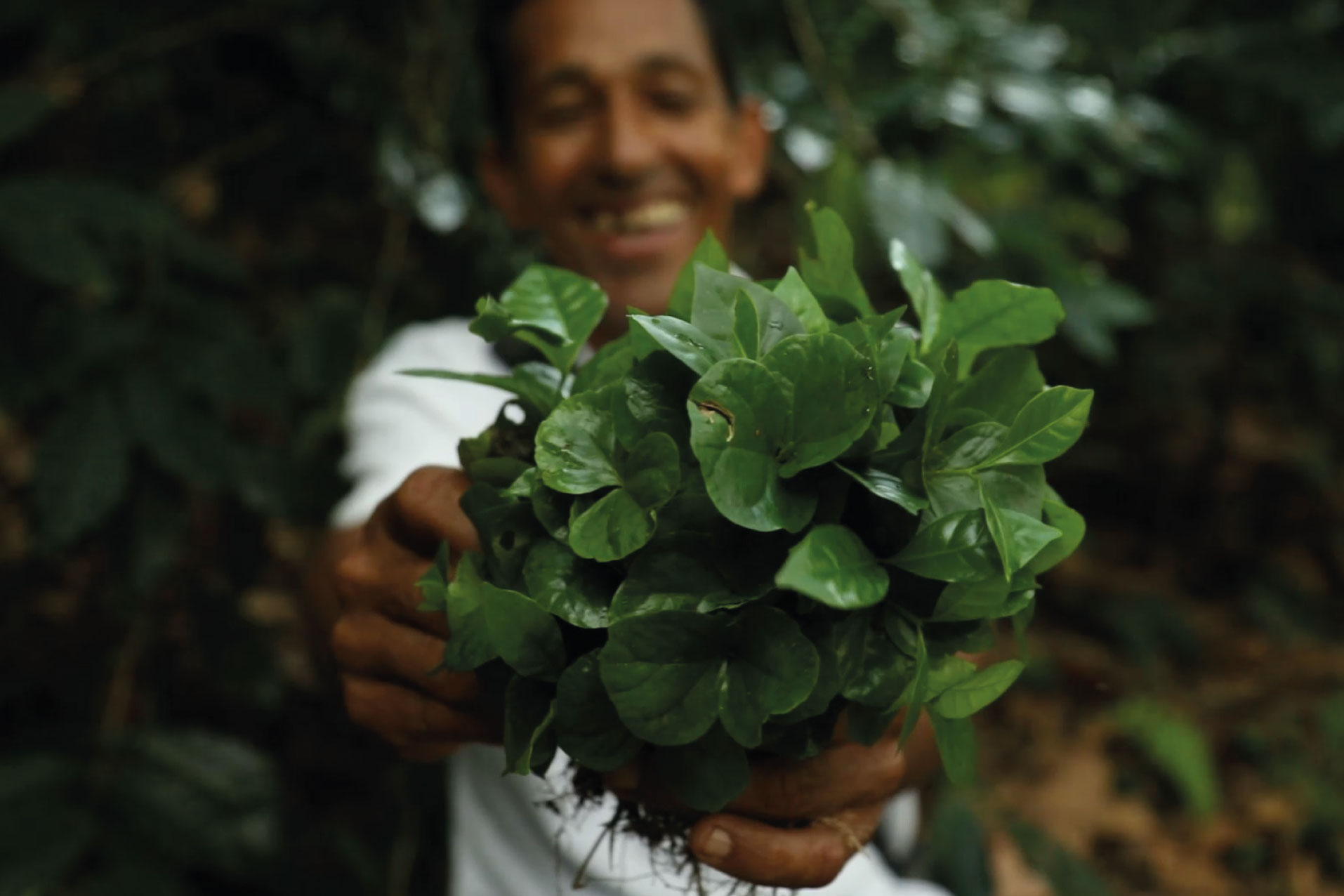Ciencia y TIC para la Paz