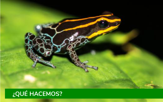 Colombia Bio Qué hacemos