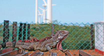 Más ciencia para el cambio climático
