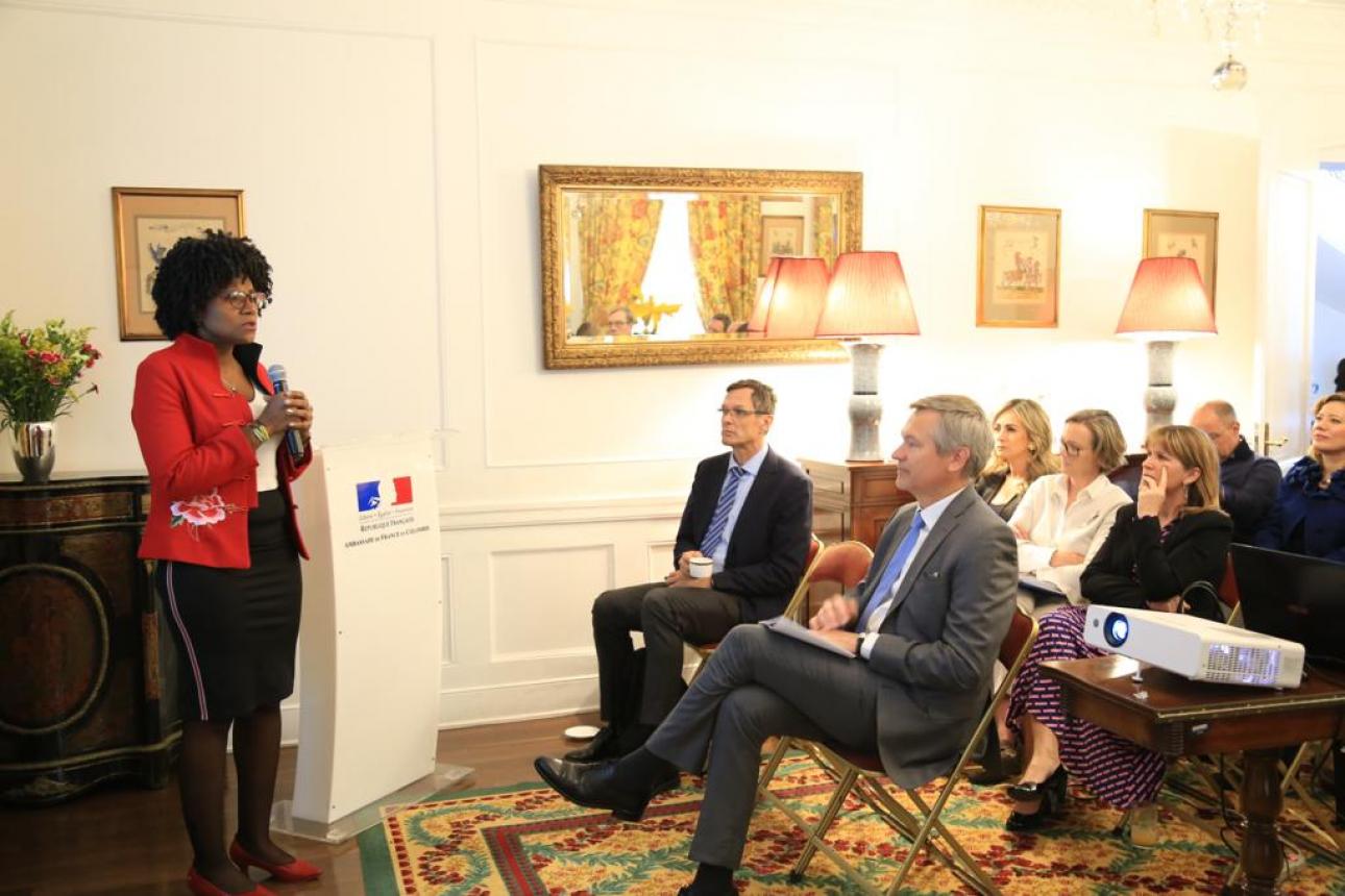 La ministra Mabel Torres se reunió con el Embajador de Francia en Colombia , Gautier Mignot, para dar a conocer la estrategia de democratización de la Ciencia, la Tecnología y la Innovación de Minciencias.